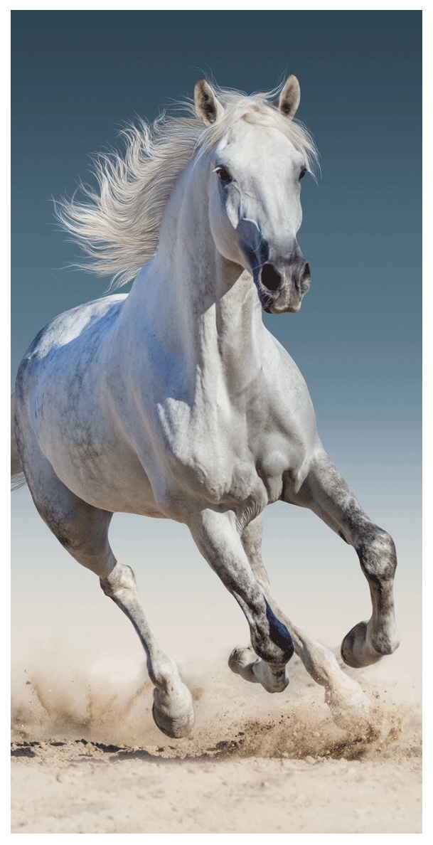 Osuška Kůň 03 70x140 cm