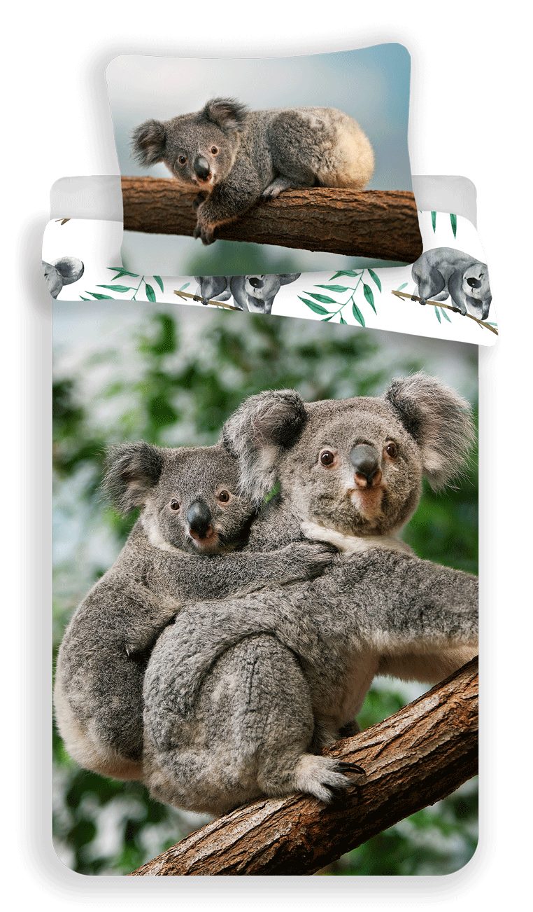 Jerry Fabrics Povlečení fototisk Koala 140x200, 70x90 cm